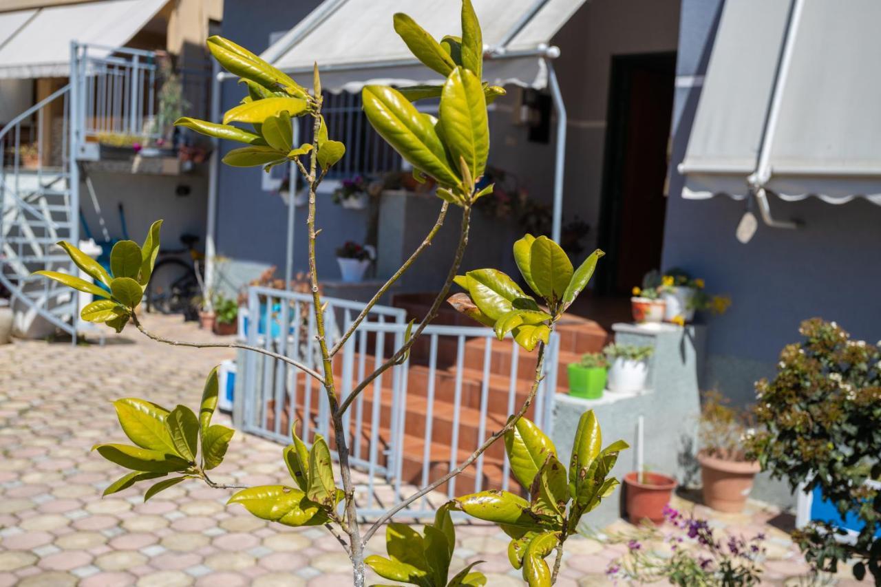 Vila Aulona Vlorë Extérieur photo